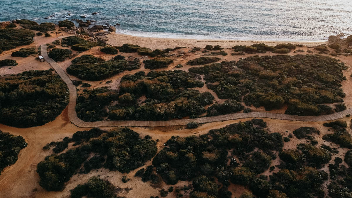 An aerial view of Calas de Roche, showing a secluded beach surrounded by lush greenery and dramatic rocky cliffs. A winding boardwalk leads down to the crystal-clear turquoise waters, where scattered rocks create natural pools and interesting formations. 