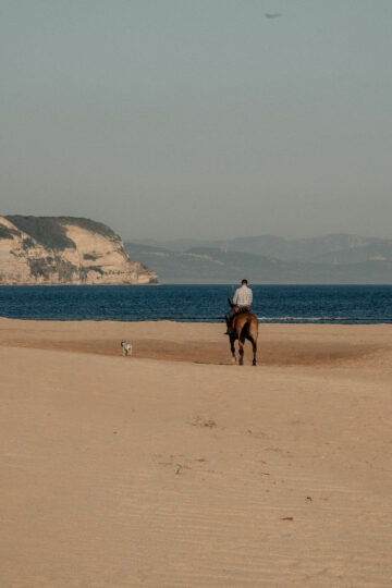 A person riding a horse along the sandy shores of Playa Faro de Trafalgar, accompanied by a dog. The expansive beach and distant cliffs create a peaceful and picturesque setting, perfect for appreciating the sunset views and the area's historical significance.