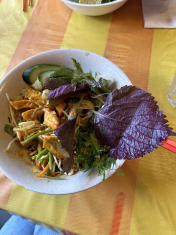 A close-up of a colorful vegan dish featuring noodles, tofu, fresh greens, and herbs, topped with a purple leaf, presented in a white bowl.