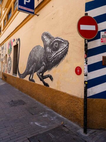 A street mural of a black and white gecko on a wall in Málaga’s revitalized Soho district, known for its vibrant street art scene.