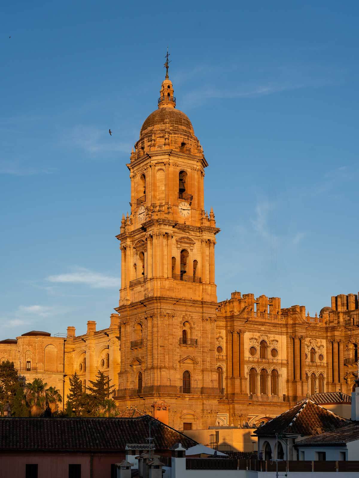 The towering bell tower of Málaga Cathedral, "La Manquita," glowing in warm evening light, set against a deep blue sky.