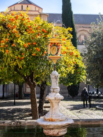 Fountain among orange trees in the Patio de los Naranjos, Córdoba.